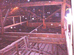 christchurch -1490.jpg